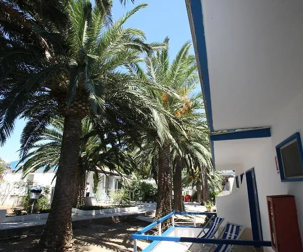 Gabbiano סאן דומינו