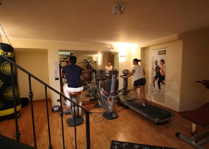 Gabbiano מלון 3*